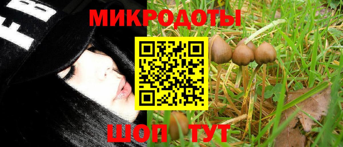 Псилоцибиновые грибы Psilocybine cubensis Дюртюли